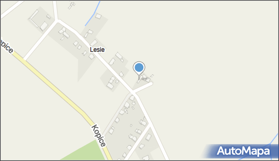 Paweł Porzeżyński Auto - Mag, Kopice 88a, Kopice 49-200 - Przedsiębiorstwo, Firma, NIP: 7471651634