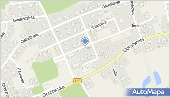 5993083613, LogicLink Paweł Smolarek 