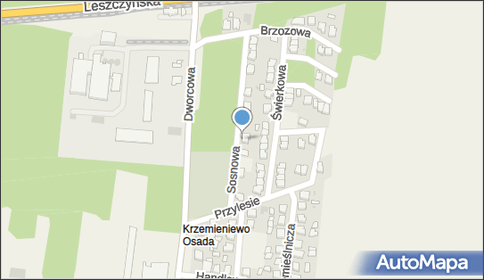 Paweł Stachowiak Firma Handlowa, ul. Sosnowa 9, Krzemieniewo 64-120 - Przedsiębiorstwo, Firma, NIP: 6961135359