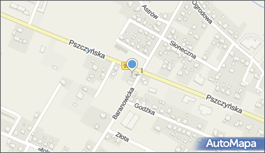 Pawilon Handlowo Usługowy Delikat Wyleżuch Grażyna Wyleżuch Antonina 43-267 - Przedsiębiorstwo, Firma, NIP: 6511006165