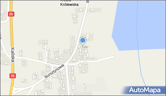 Pawłowska Aneta Alto, Modła Królewska A, Modła Królewska 62-571 - Przedsiębiorstwo, Firma, NIP: 6651011143