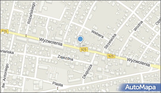 Paya Paulina Rzymanek, Wyzwolenia 47, Rybnik 44-200 - Przedsiębiorstwo, Firma, NIP: 6423203647