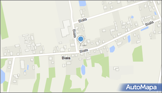 Pellet drzewny Węgiel Kruszywa drogowe, Biała 49, Biała 98-332 - Przedsiębiorstwo, Firma, numer telefonu