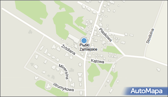 Pewex, ul. Piaski Zamiejskie 135, Siedlce 08-110 - Przedsiębiorstwo, Firma, numer telefonu, NIP: 8211152828