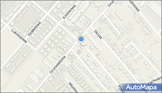 PHU Andres, Podgórna 2, Plewiska 62-064 - Przedsiębiorstwo, Firma, NIP: 7821096499