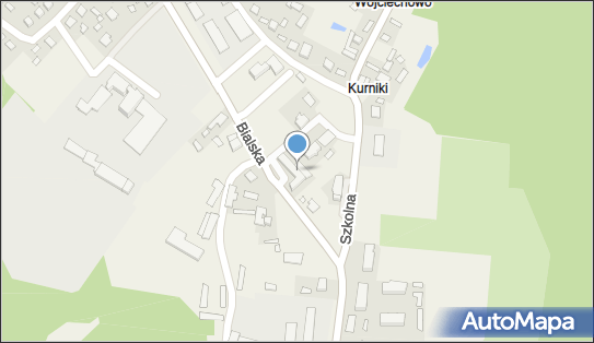 PHU Auto-Info Rafał Mikulski, Bialska 28, Leśna Podlaska 21-542 - Przedsiębiorstwo, Firma, NIP: 5371994983