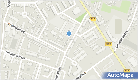 PHU Joanna Joanna Drzewiecka, Nowowiejskiego 48, Malbork 82-200 - Przedsiębiorstwo, Firma, NIP: 5791324829