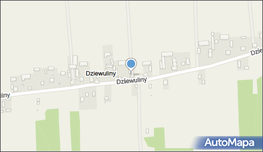 PHU Justyna, Dziewuliny 22, Dziewuliny 97-306 - Przedsiębiorstwo, Firma, NIP: 7271025576