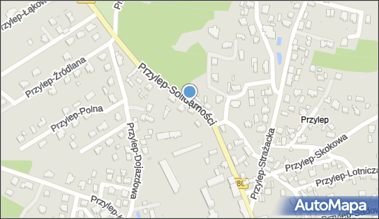 PHU Parkiety-Wróblewski Marcin Wróblewski, Przylep-22 Lipca 77 66-015 - Przedsiębiorstwo, Firma, NIP: 9730585868