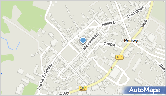 PHU Ryszard Konopacki, ul. Adama Mickiewicza 18A, Pniewy 62-045 - Przedsiębiorstwo, Firma, NIP: 7871029051