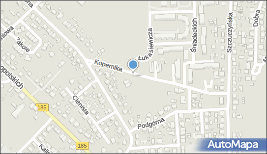 PHU Waldemar Krauze, ul. Mikołaja Kopernika 11, Szamotuły 64-500 - Przedsiębiorstwo, Firma, NIP: 7871818902