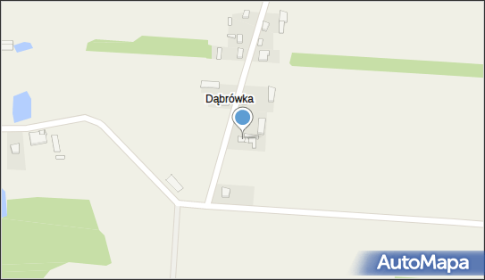 Pidzot Piotr Pingot, Chorzew 164, Chorzew 98-358 - Przedsiębiorstwo, Firma, NIP: 5080091673