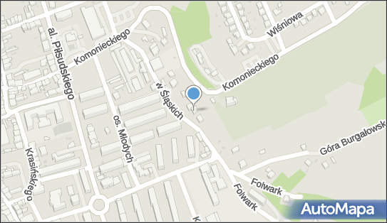 5530010575, Przedsiębiorstwo Handlowo-Usługowe Pemex Elżbieta Piechota 