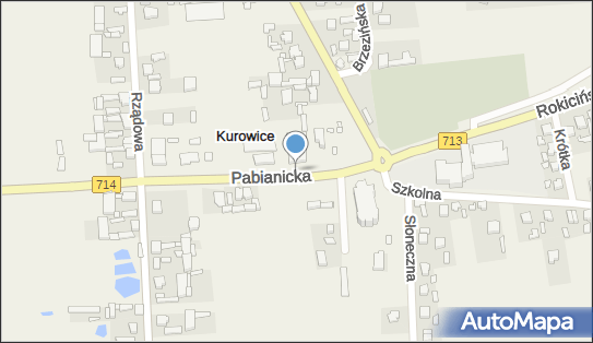 Piękniejsza, Pabianicka 6, Kurowice 95-006 - Przedsiębiorstwo, Firma, NIP: 7282671647