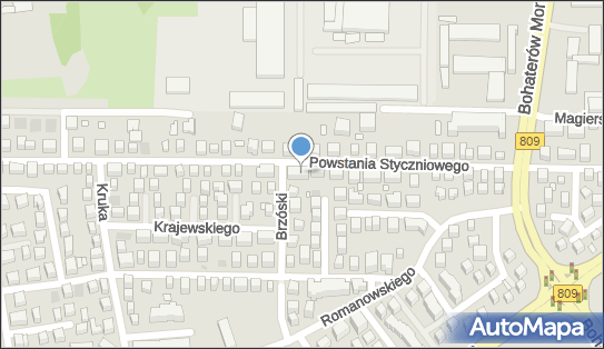 Piękno i Styl, Powstania Styczniowego 46, Lublin 20-706 - Przedsiębiorstwo, Firma, NIP: 7171649780