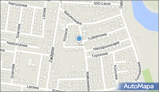 Piekut Tomasz Tomex, Jaśminowa 2, Skierniewice 96-100 - Przedsiębiorstwo, Firma, NIP: 8360013753