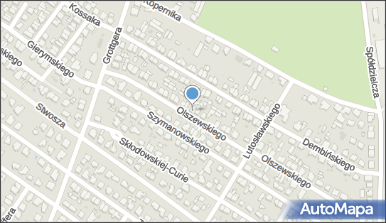 Piętka Krzysztof, ul. Karola Olszewskiego 46, Leszno 64-100 - Przedsiębiorstwo, Firma, NIP: 6971559078