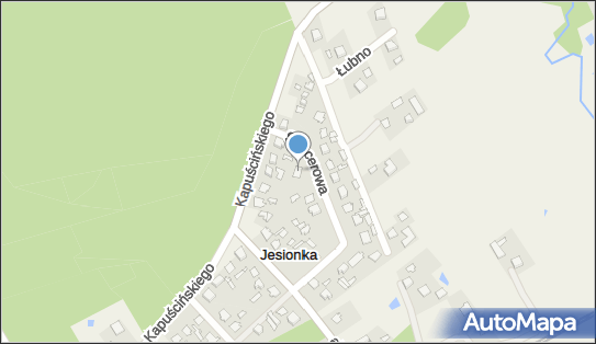 Pijalnia Piwa, Spacerowa 11, Jesionka 96-315 - Przedsiębiorstwo, Firma, NIP: 8381213859