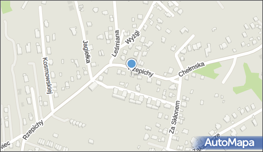 Pik Aneta Zielińska Paweł Zieliński, Rzepichy 3, Kraków 30-240 - Przedsiębiorstwo, Firma, numer telefonu, NIP: 6831968262