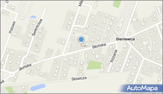 Pilot Service - Aleksander Pawlik, Błońska 78, Bieniewice 05-870 - Przedsiębiorstwo, Firma, NIP: 8942018659