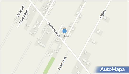 Pilot, Leszczynowa 133, Laszczki 05-090 - Przedsiębiorstwo, Firma, NIP: 8992075754