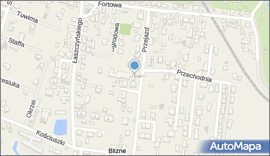 5291196908, Pinki Trans Marcin Polkowski 