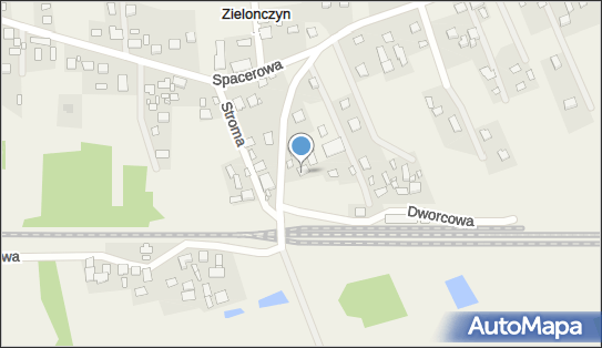 Pinkowski Tomasz Tom- Sprint-Trans, Zielonczyn 95, Zielonczyn 86-014 - Przedsiębiorstwo, Firma, NIP: 9670125027