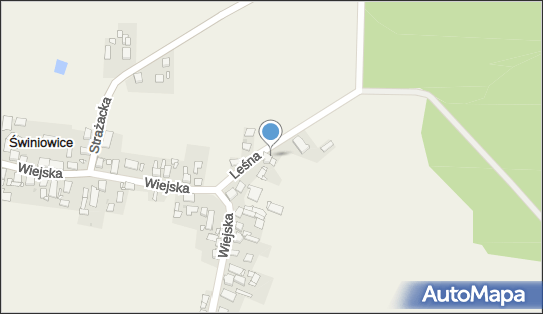 Pinus Jan Deja Bogdan Matyja, Leśna 1, Świniowice 42-690 - Przedsiębiorstwo, Firma, numer telefonu, NIP: 6452298219