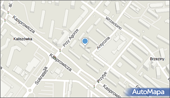 Pionier, ul. Jana Kasprowicza 80A, Warszawa 01-949 - Przedsiębiorstwo, Firma, NIP: 7221087523