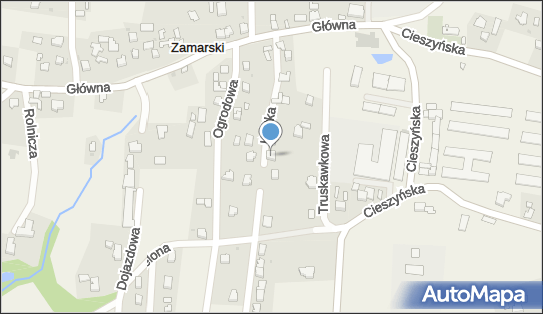 Piotr Branny - Działalność Gospodarcza, Krótka 15, Zamarski 43-419 - Przedsiębiorstwo, Firma, numer telefonu, NIP: 5481020710