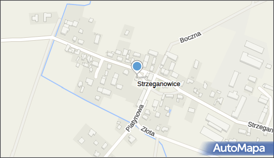 Piotr Chabior, Strzeganowice 16b, Strzeganowice 55-080 - Przedsiębiorstwo, Firma, NIP: 9131000413