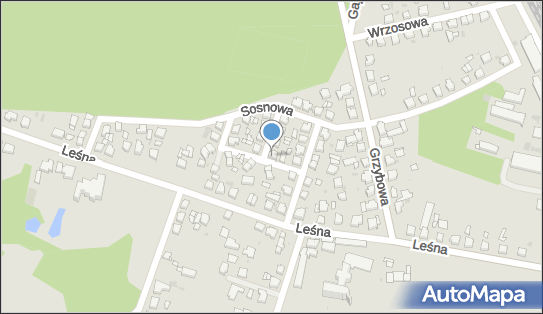 Piotr Chowański, Jodłowa 7, Ostrzeszów 63-500 - Przedsiębiorstwo, Firma, NIP: 5140099805