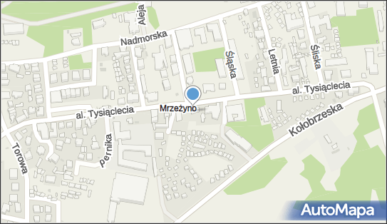 8571630365, Piotr Czerniecki Pizza King 