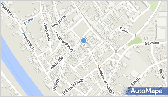 Piotr Firlej Handel Detaliczny Artykułami Przemysłowymi, Śrem 63-100 - Przedsiębiorstwo, Firma, NIP: 7850000438