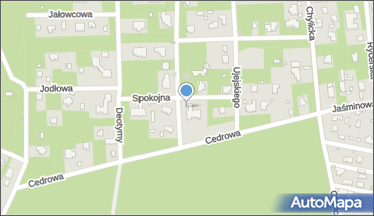 Piotr Hubert Badowski Buena, ul. Spokojna 6, Konstancin-Jeziorna 05-520 - Przedsiębiorstwo, Firma, NIP: 5251470237