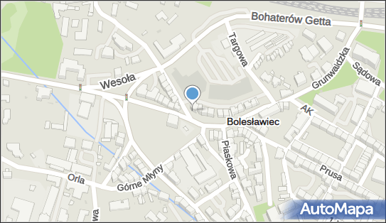 Piotr Koza, Zgorzelecka 37, Bolesławiec 59-700 - Przedsiębiorstwo, Firma, NIP: 6121007837