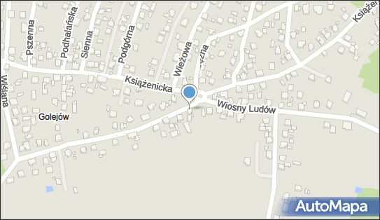 Piotr Niewelt - Działalność Gospodarcza, Wiosny Ludów 34 44-207 - Przedsiębiorstwo, Firma, NIP: 6422121539