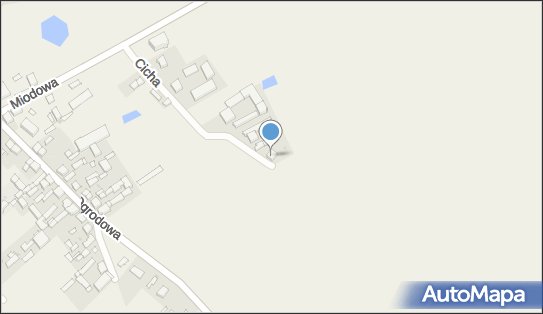 8281393862, Piotr Pawęta 