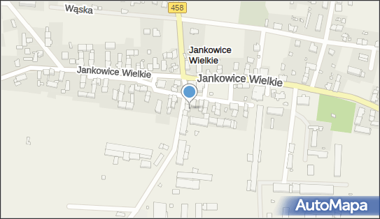 Piotr Pich, Jankowice Wielkie 22, Jankowice Wielkie 49-332 - Przedsiębiorstwo, Firma, NIP: 7471759917