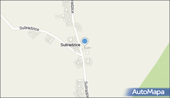 Piotr Pierucki P.P.H.Piotr Pierucki, Suliradzice 19, Suliradzice 56-320 - Przedsiębiorstwo, Firma, NIP: 9161390436