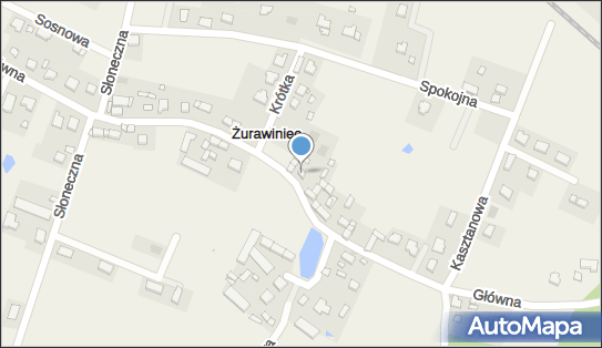 Piotr Skrzypiec, Główna 20, Żurawiniec 55-330 - Przedsiębiorstwo, Firma, NIP: 8862415097