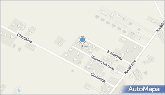 Piotr Zakrzewski Usługi Transportowe Przewóz Osób Taxi 21-007 - Przedsiębiorstwo, Firma, NIP: 7131208130