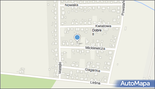 Piotr, ul. Mickiewicza 16, Dobre 88-210 - Przedsiębiorstwo, Firma, NIP: 8891491037
