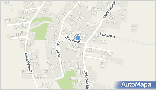 Pławecki Rafał Usługi Transportowe Towarowe, Łąka 43-241 - Przedsiębiorstwo, Firma, NIP: 6381049620