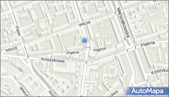 Playmob Michał Krasnodębski, Piękna 52, Warszawa 00-672 - Przedsiębiorstwo, Firma, NIP: 7010147079