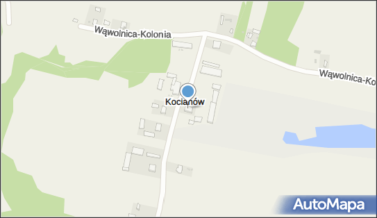 Pochodyła Marzanna, Kocianów 6, Kocianów 24-320 - Przedsiębiorstwo, Firma, NIP: 7171796280