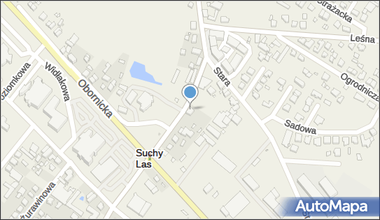 Podnośnik Koszowy Suchy Las - wynajem Poznań i okolice, Suchy Las 62-002 - Przedsiębiorstwo, Firma, numer telefonu