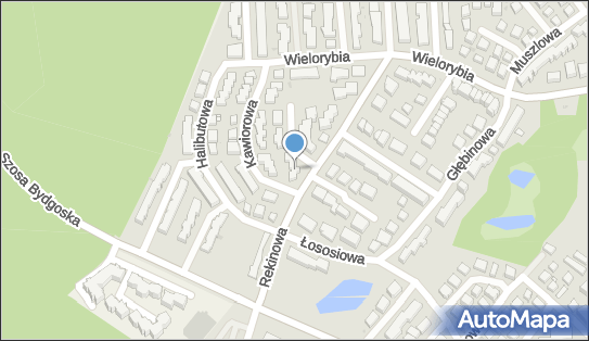 Podnosniki-bydgoszcz.pl, Oceaniczna 1, Bydgoszcz 85-435 - Przedsiębiorstwo, Firma, numer telefonu