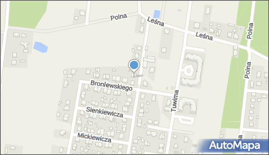 Pol Trans P Rutkowski M Rutkowski Paweł Rutkowski, Leszno 05-084 - Przedsiębiorstwo, Firma, NIP: 5291517063