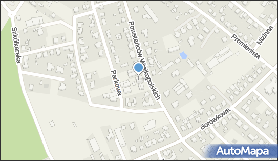 Polish Luxury Group Investment, Powstańców Wielkopolskich 91 62-002 - Przedsiębiorstwo, Firma, NIP: 9721252268